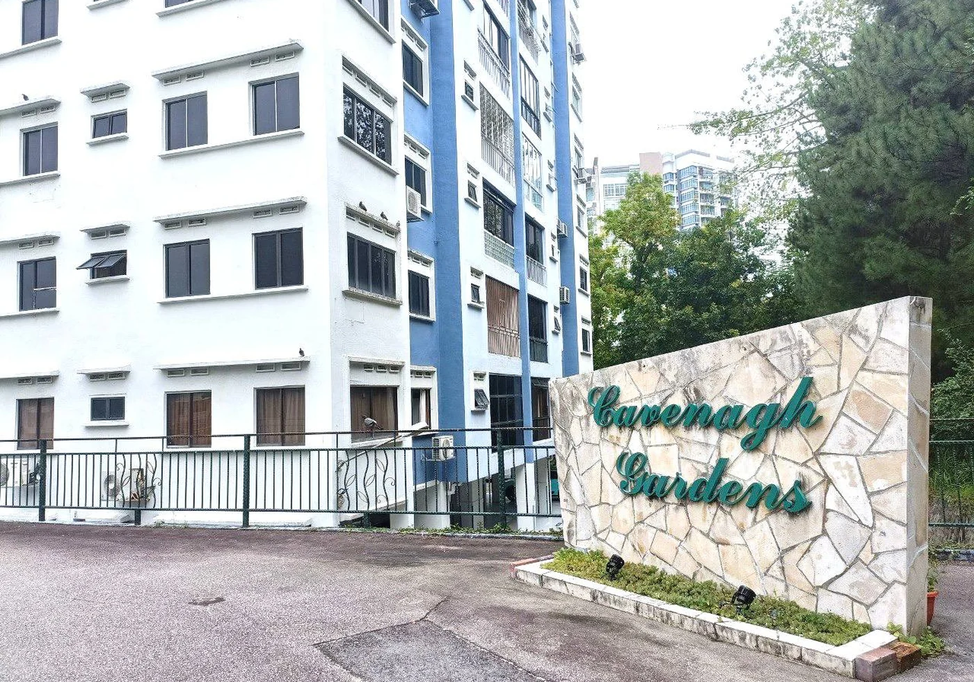 Cavenagh Garden 02 378 公寓外观、入口或社区环境参考图